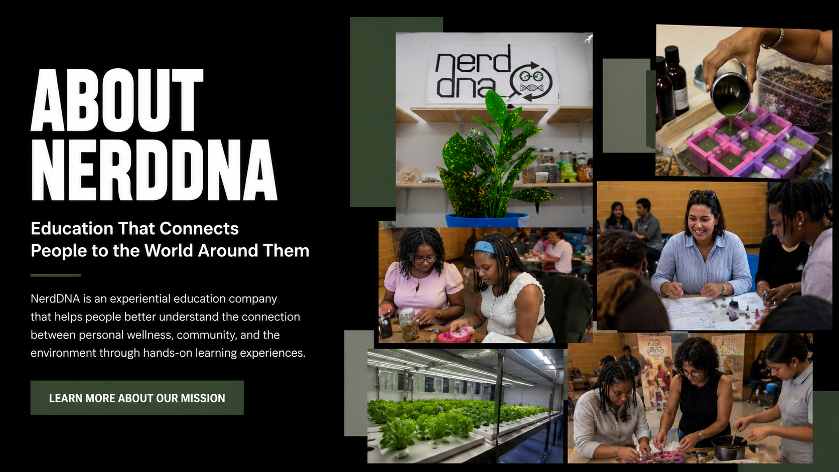 NerdDNA workshop